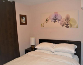 Beautiful and spacious Basement Apartment